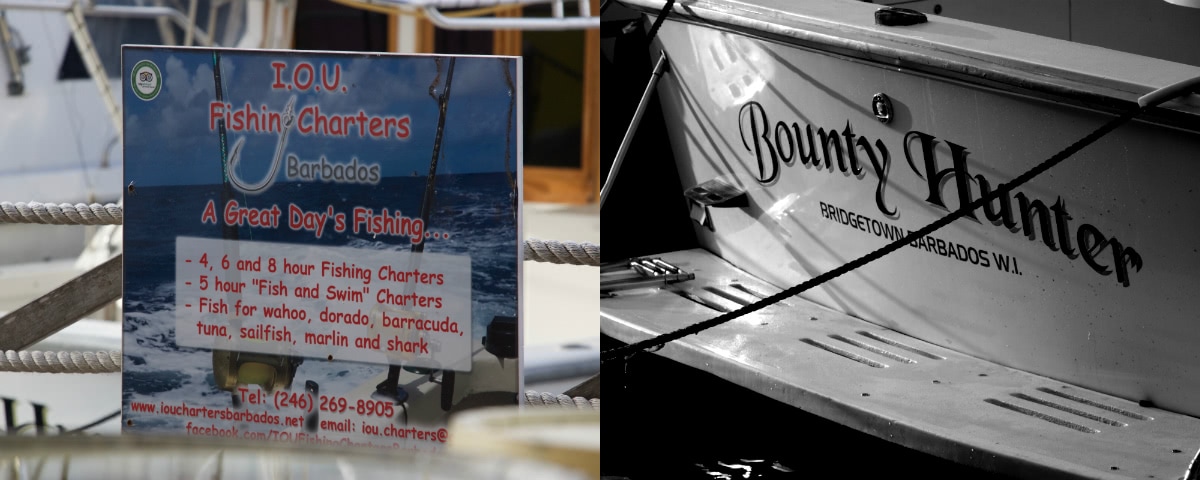 Fishing Charters