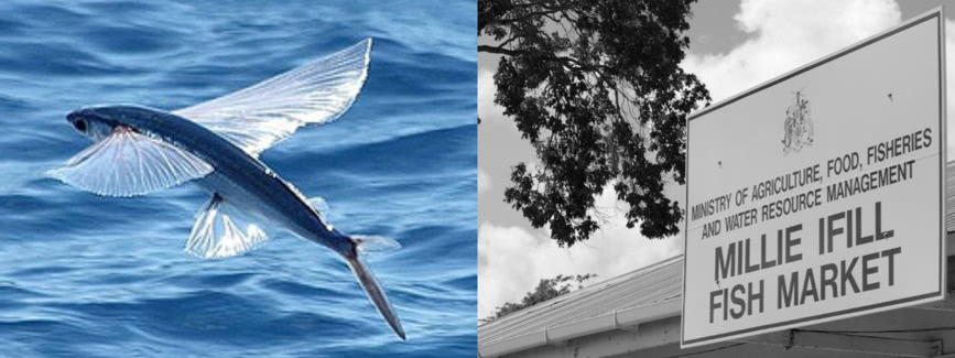 A Bajan Specialty - Flying Fish Cou Cou - The Sandpiper, Barbados