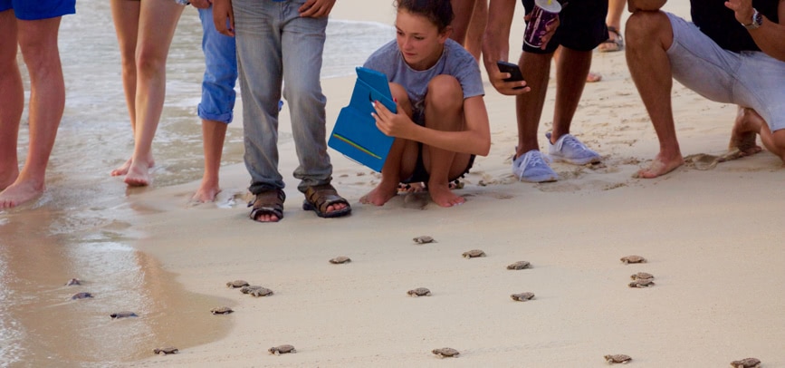 The joy of a Sea Turtle Hatchling Release