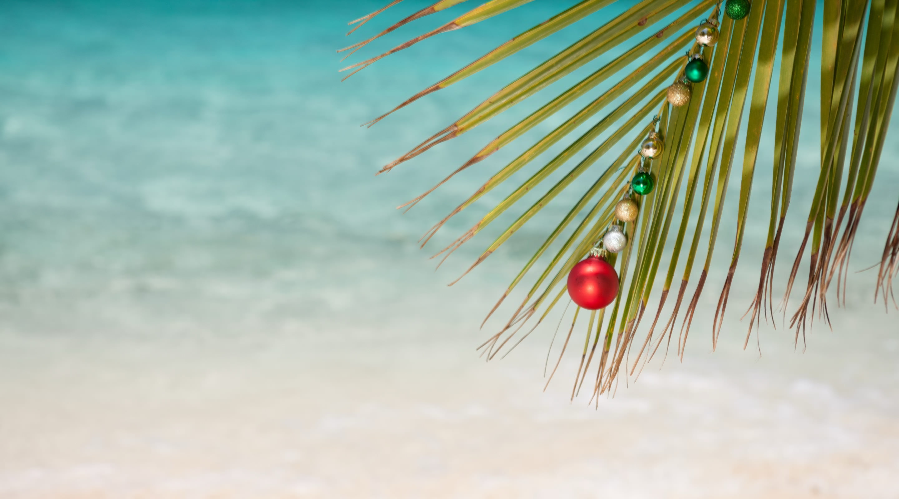 Villas Available for Christmas and New Year in Barbados