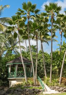 Aliseo villa in Sandy Lane, Barbados