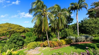Aurora villa in Sandy Lane, Barbados