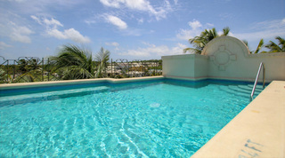 Shared rooftop pool with treetop and palm views at Beacon Hill 305 – The Penthouse, Mullins, Barbados
