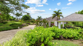 Yellow-flowering hedge framing the driveway and carport at Bella Vista villa, St. James, Barbados