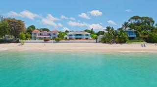 Blue Oyster Barbados video