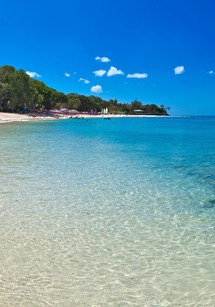 Bluff Cottage villa in Sandy Lane, Barbados