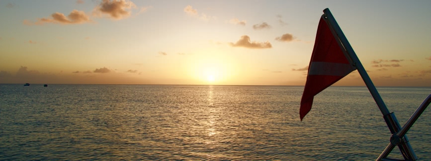 barbados sunset catamaran cruises