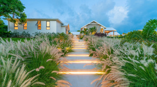 Staircase lit from within each step, climbing through ornamental grasses to the house at Cloudbreak, Barbados