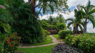 Coral Cove 10 apartment in Paynes Bay, Barbados