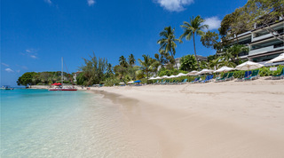 Clear shallows and wide white sand below the palms on Paynes Bay, Coral Cove 14 – Crowsnest apartment rental, Barbados