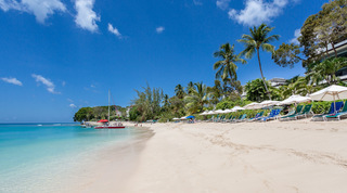 Towering coconut palms, blue sky and a line of parasols along the beach at Coral Cove 14 – Crowsnest in St. James, Barbados