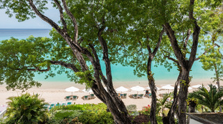 Beach below Coral Cove 14 – Crowsnest in Barbados, white parasols and turquoise water framed by twisting tree trunks