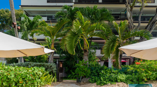Wooden beach gate between palms at Coral Cove 14 – Crowsnest in Barbados, leading from the sand into the grounds