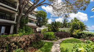 Lawn and curving stepping-stone path beneath a spreading tree, Coral Cove 14 – Crowsnest holiday apartment, Barbados