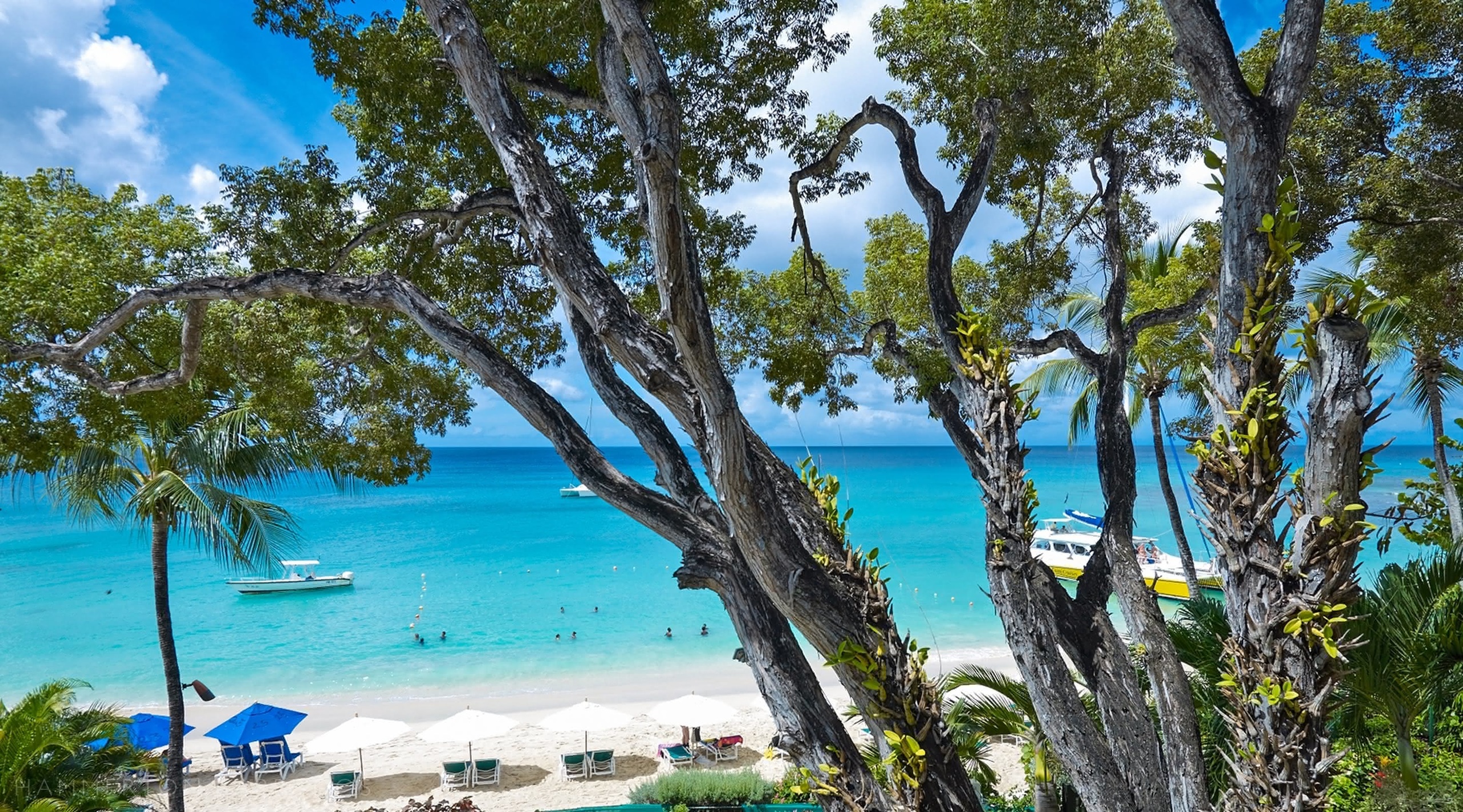 coral-cove-7-sunset-paynes-bay-barbados