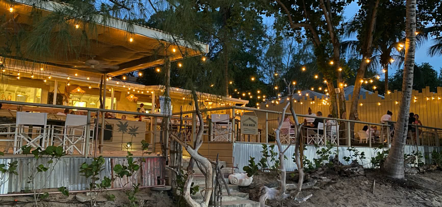 Strings of festoon lights glow above the Sea Shed beach bar at dusk