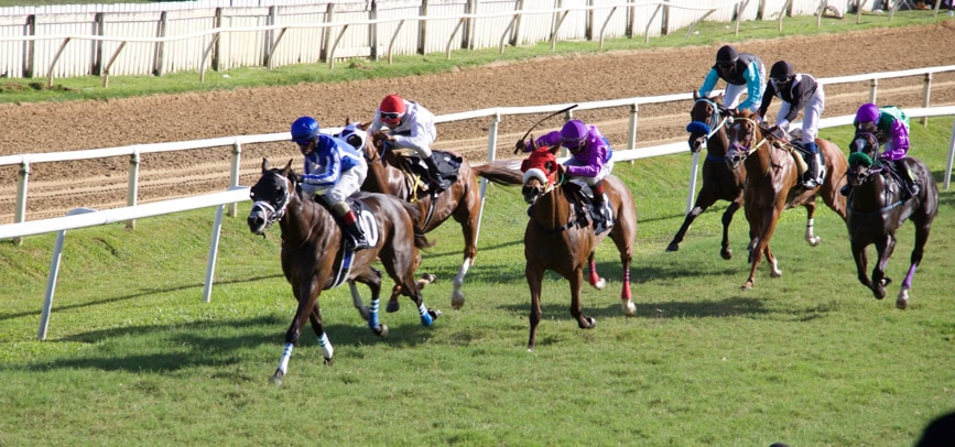 Barbados Horse Racing: Day Out at Garrison Savannah