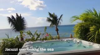 Frangipani Drive 1 – Fig Tree House Barbados video