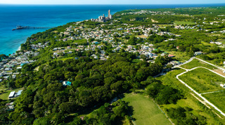 Drone view across tree canopy and village rooftops to the Barbados coastline near Fustic House in St. Lucy