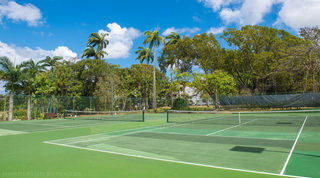 Resort tennis courts framed by tall palms under blue Barbados sky at Glitter Bay 308
