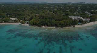 Heronetta Barbados video