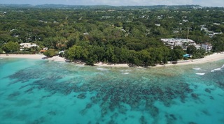 Heronetta Barbados video