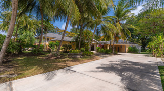 Front drive lined with tall coconut palms at Jamoon, luxury villa in Sandy Lane, Barbados