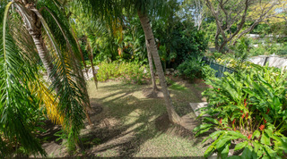 Garden view of tall palms and lawn from a doorway at Jamoon villa in Barbados