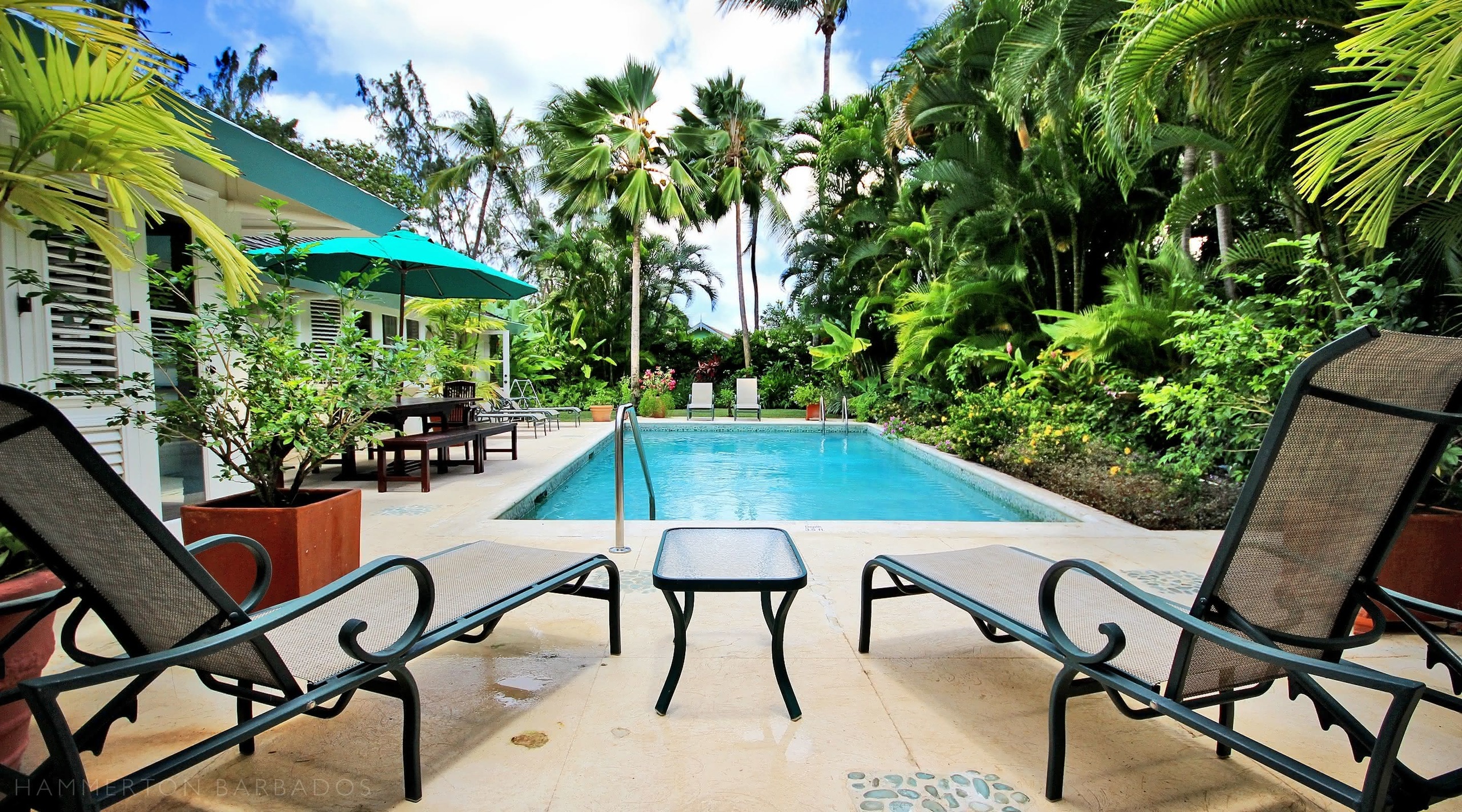 jessamine-gibbs-barbados