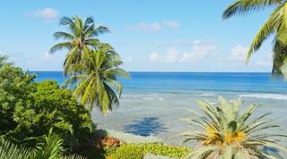 Leamington Beach Cottage Barbados video