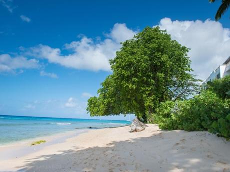 Mahogany Bay – Chanel No.5 villa in Lower Paynes Bay, Barbados