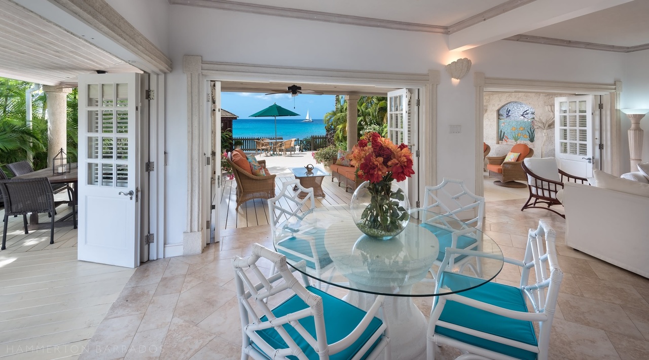 Mahogany Bay Seashells, Paynes Bay, Barbados