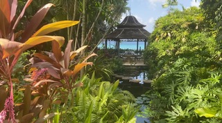 Mango Bay Barbados video