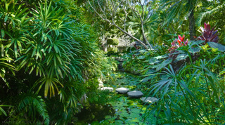 Mango Bay villa in The Garden, Barbados