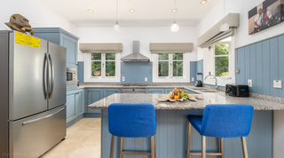 Powder-blue kitchen, granite breakfast bar and a monkey bust atop the fridge at Monkey Hill, villa rental in Barbados