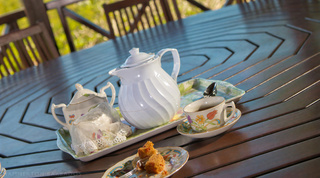 Afternoon tea tray with teapot and cake on a dark wood table at Mullins Mill, fully staffed villa in Barbados
