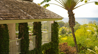 Ivy-draped cottage balcony beside a traveller's palm with the sea beyond at Mullins Mill, Barbados