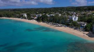 Old Trees 4 – The Palms Barbados video