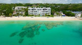 Old Trees 4 – The Palms Barbados video