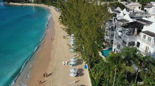 Old Trees 9 – Hallidays Barbados video