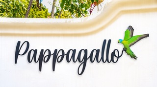 Pappagallo villa in Sandy Lane, Barbados