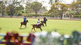 Polo View villa in Holder's Hill, Barbados