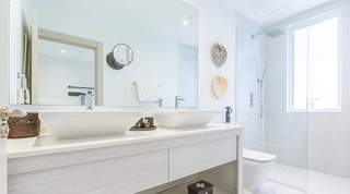Porters Place 20 – Villa Palmier villa in Porters, Barbados