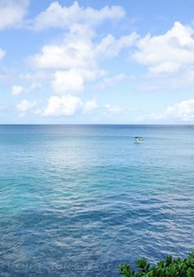 Portico 1 apartment in Prospect Beach, Barbados