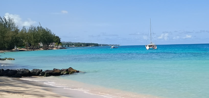 Catamaran At Sunset