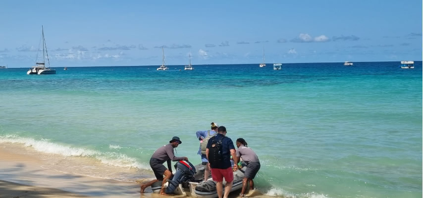 Tender Picking Up On The Beach