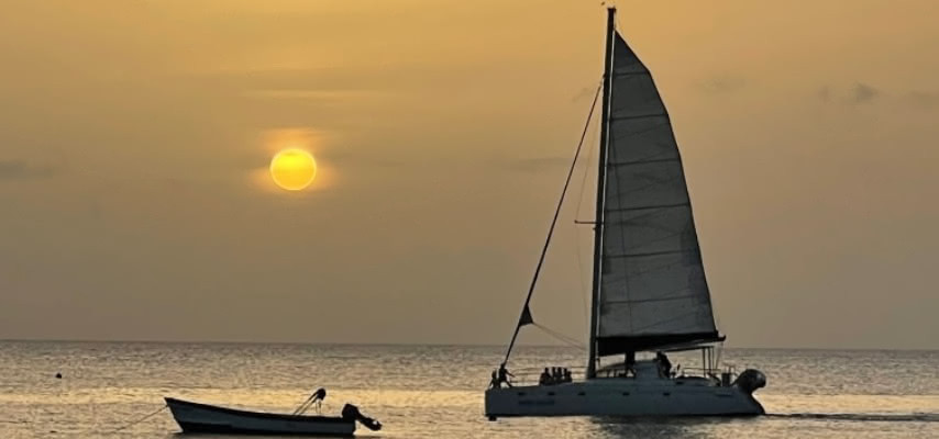 The Ultimate Guide to Catamaran Cruises in Barbados