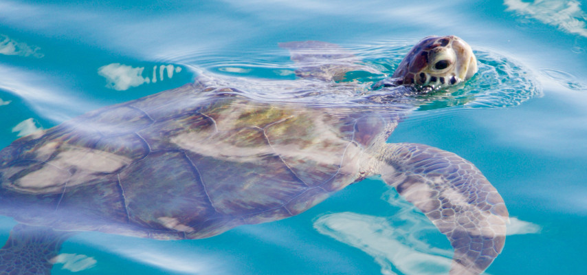 A Family-Friendly Lunchtime Cruise with Silver Moon