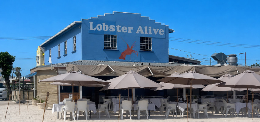 Lobster Alive – Laid-Back Beachfront Dining with Serious Seafood Credentials