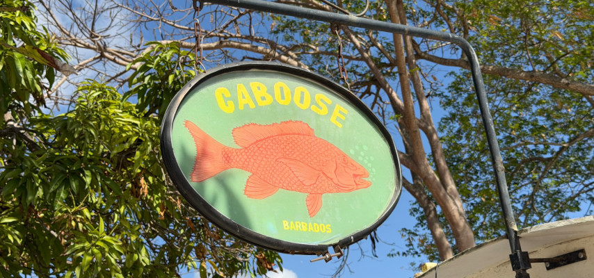 Caboose Barbados – A Fish Cutter Worth the Wait in Speightstown